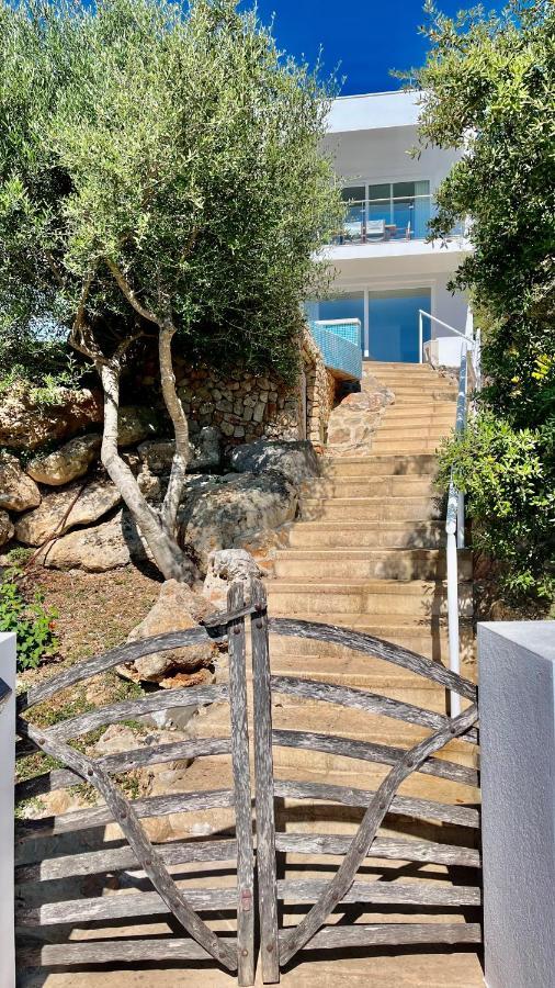 Villas Tin Coves Noves Thị trấn Thị trấn Punta Grossa Ngoại thất bức ảnh